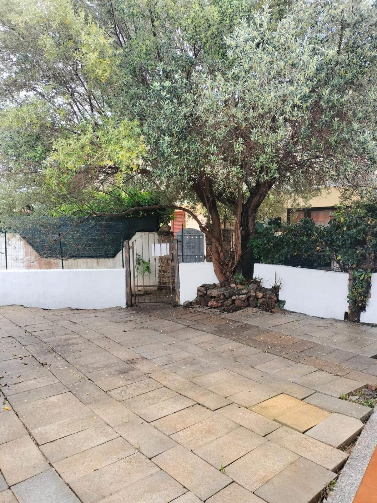 Casa Antony Villa San Teodoro  Eksteriør bilde